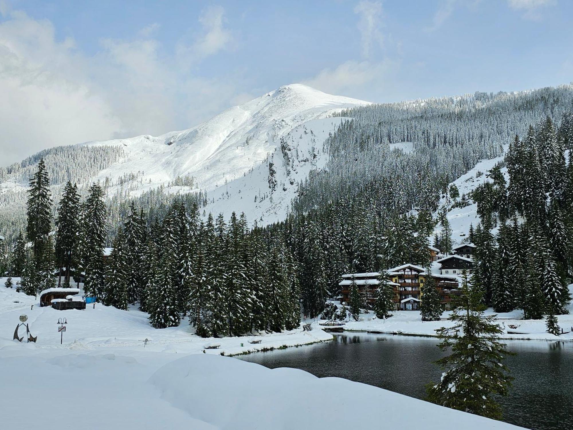 Hotel Sportalmmm, Hoch-Genuss (Adults Only) Zauchensee Exterior photo